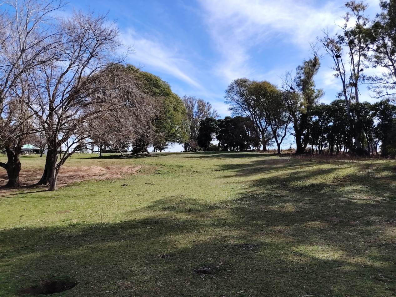 SOLARES NORTE - OLIVEROS