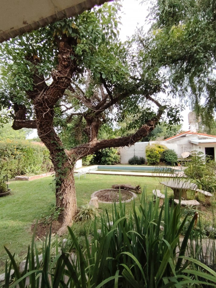 RODRIGUEZ  1841  -  FUNES